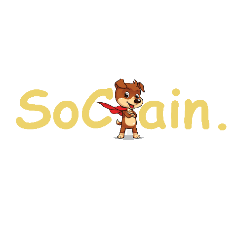 SoChain