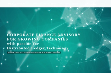 DLT Capital